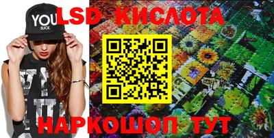 прущие крисы Будённовск